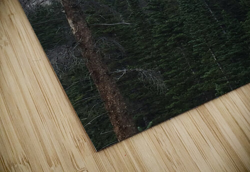 Peak Framed by Trees Lloyd Earickson puzzle