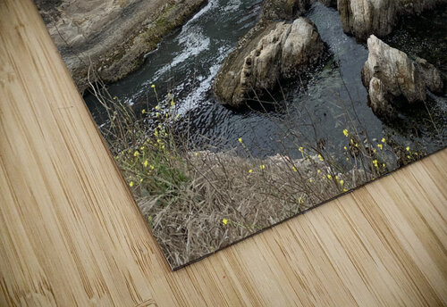 Tides Lloyd Earickson puzzle