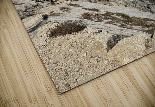 Along the Edge Lloyd Earickson puzzle
