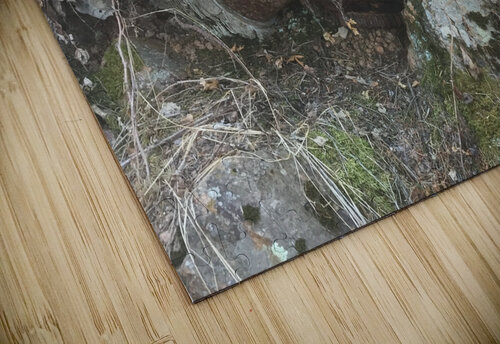 Plane Crash Lloyd Earickson puzzle