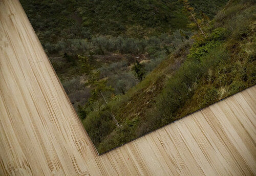 Spring Flash Lloyd Earickson puzzle
