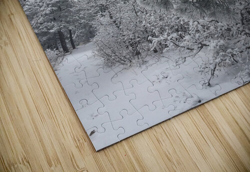 Frozen in Time Lloyd Earickson puzzle