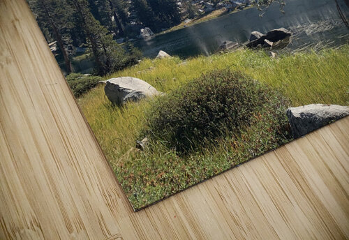 A Mountain Lake Lloyd Earickson puzzle