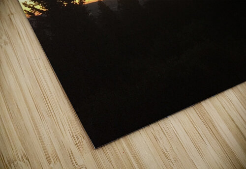 Silhouettes Lloyd Earickson puzzle