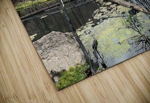Recovery Lloyd Earickson puzzle