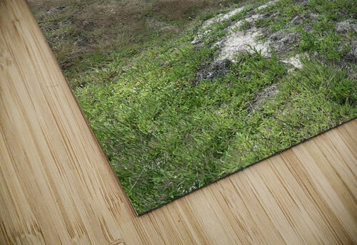 Pockmarked Lloyd Earickson puzzle