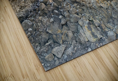 Earths Corridors Lloyd Earickson puzzle