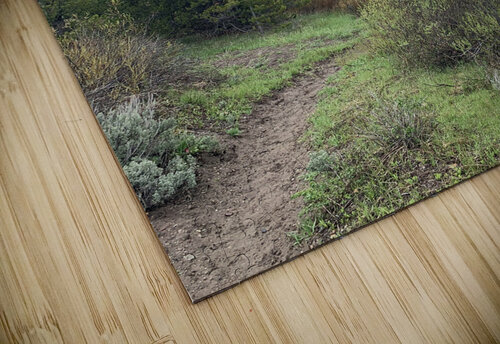 Colors Below Lloyd Earickson puzzle