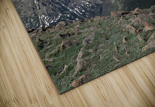Mountains Lloyd Earickson puzzle