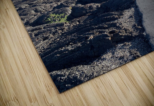 Path to Nowhere Lloyd Earickson puzzle