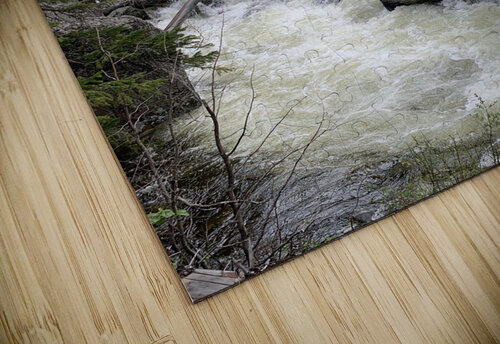 Rushing Waters Lloyd Earickson puzzle