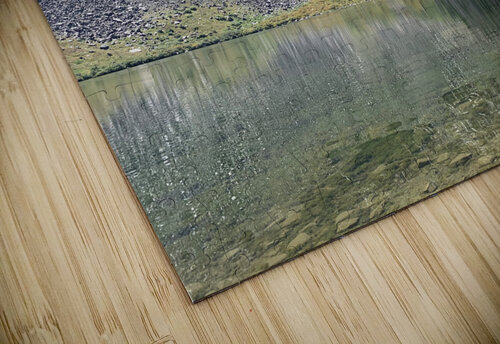Distorted Reflections Lloyd Earickson puzzle