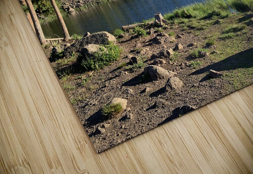 Ruffled Mountain Lake Lloyd Earickson puzzle