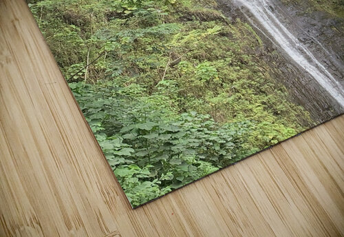 Overflow Lloyd Earickson puzzle