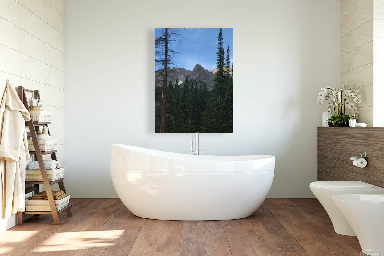 Peak Framed by Trees Reproduction