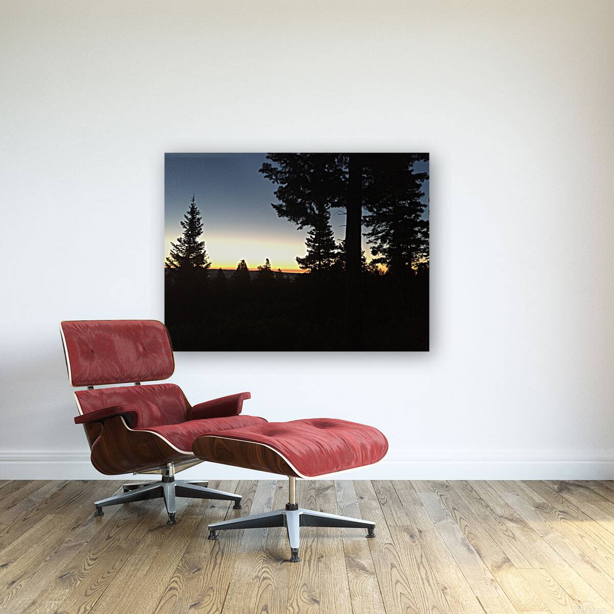 Silhouettes Reproduction