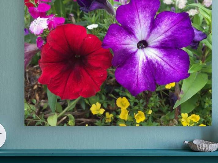 Red and Purple Flowers by Lloyd Earickson