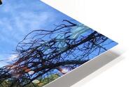 Granite Duolith HD Metal print