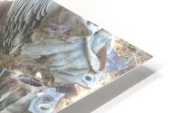 Plane Crash HD Metal print