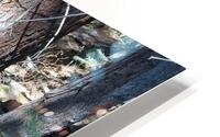 Reflecting Pool HD Metal print