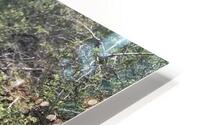 Volcano Flower HD Metal print