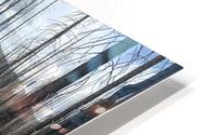 Recovery HD Metal print
