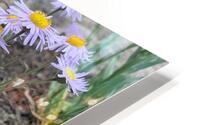 Wildflowers HD Metal print