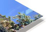 Distorted Reflections HD Metal print