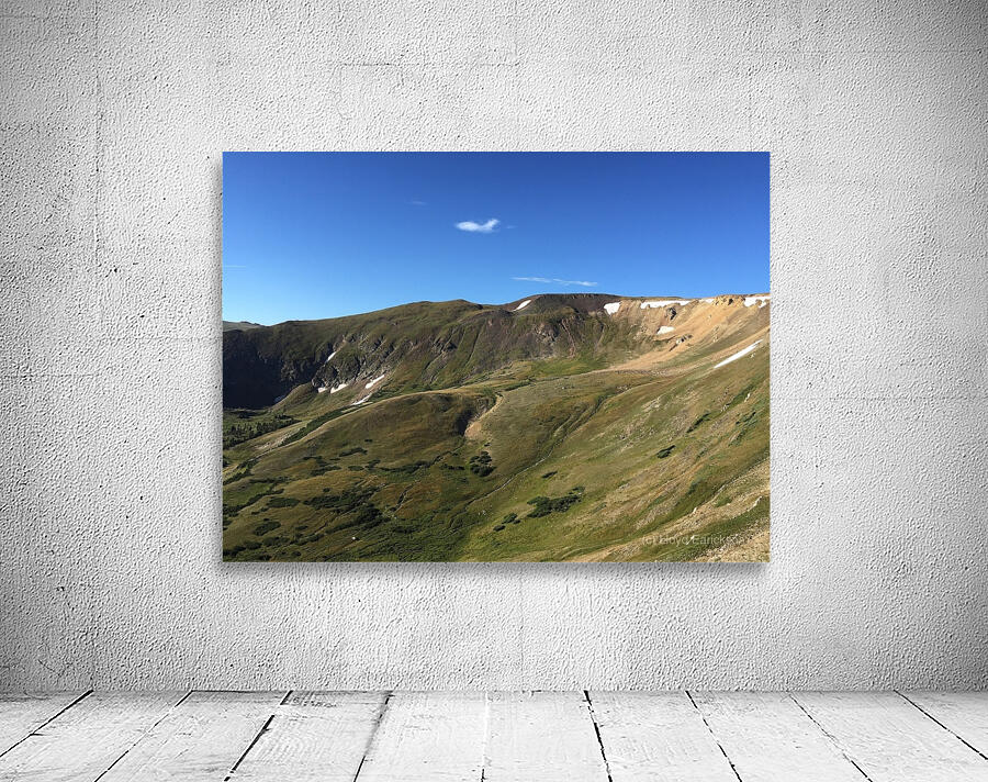Alpine Tundra Wall Preview