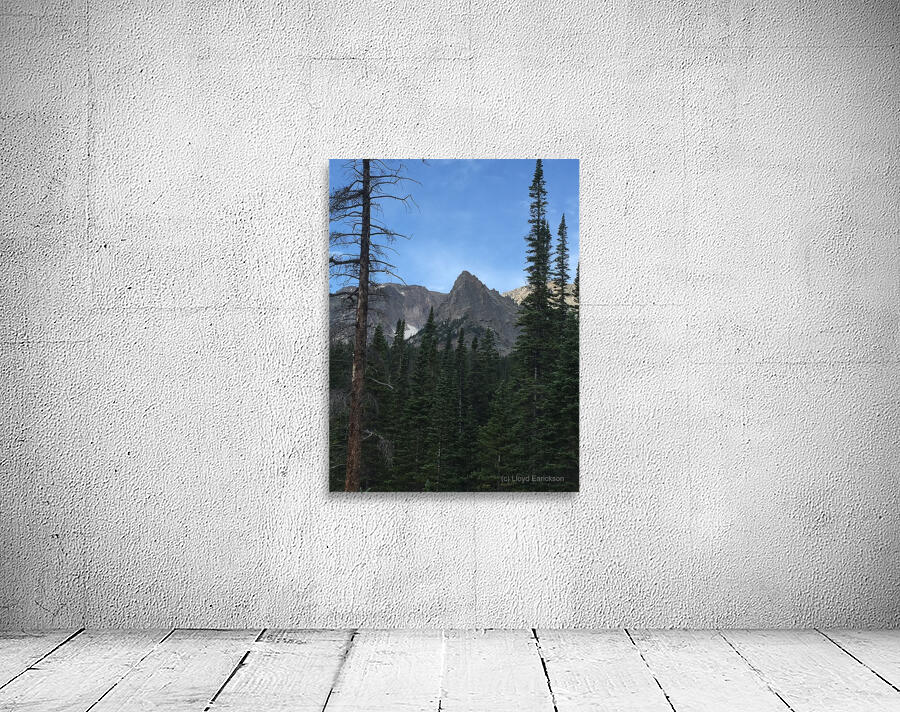 Peak Framed by Trees Wall Preview