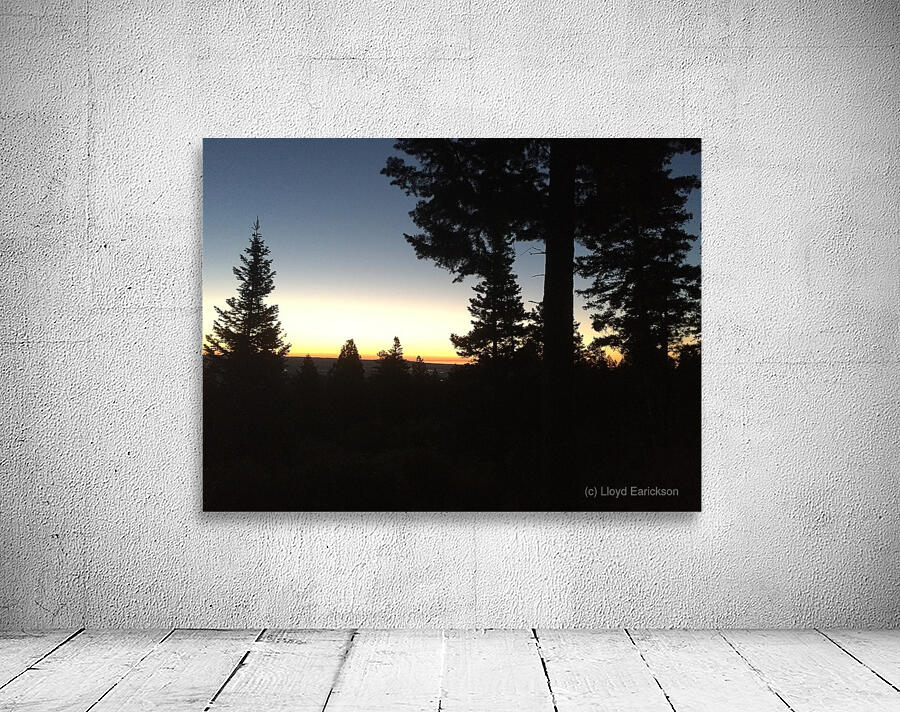 Silhouettes Wall Preview