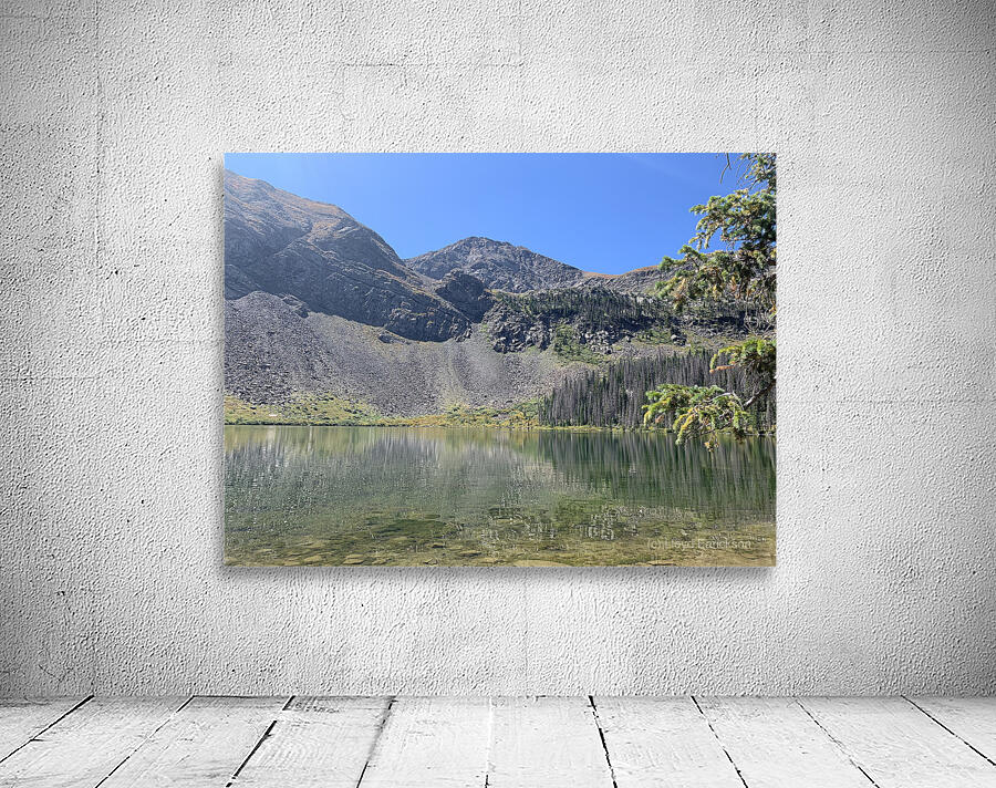 Distorted Reflections Wall Preview