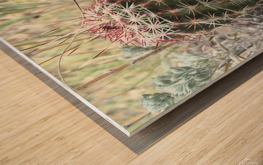 Cactus Close-Up Wood print