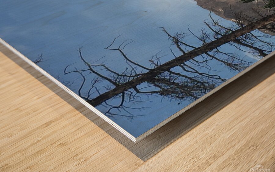 Peak Framed by Trees Wood print