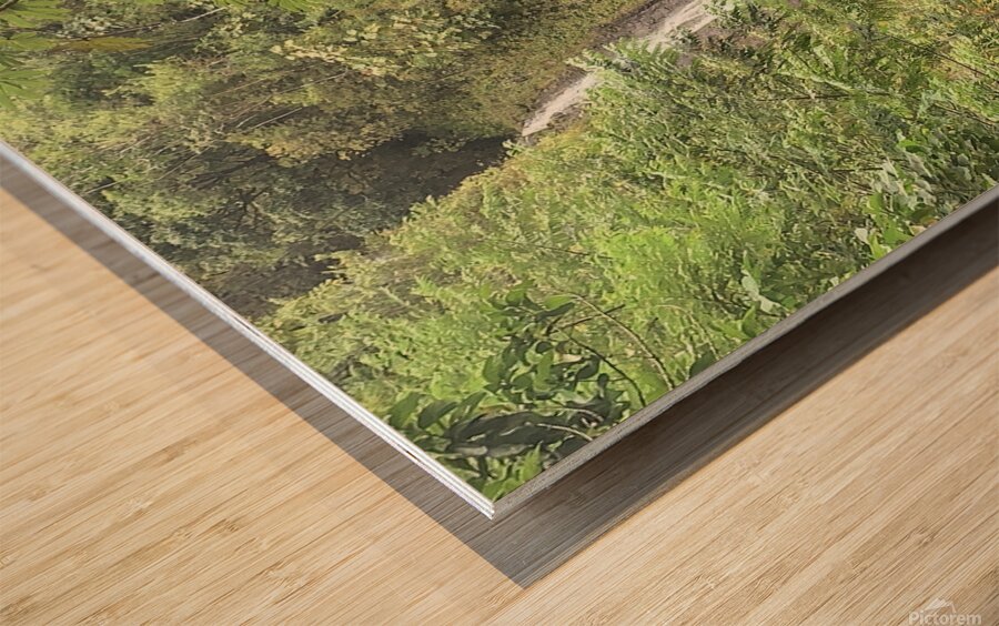 Overflow Wood print