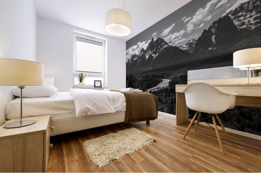 Ansel Adams Remake Mural print