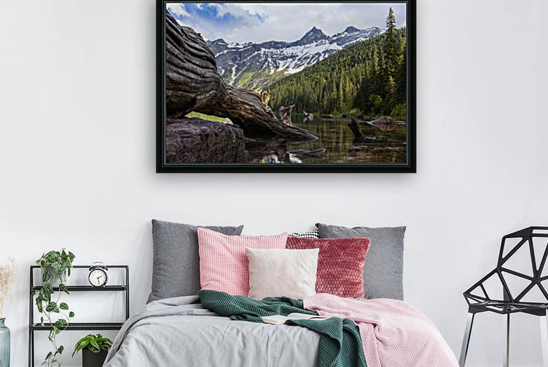 Driftwood in Glacier National Park by Kenny Hill