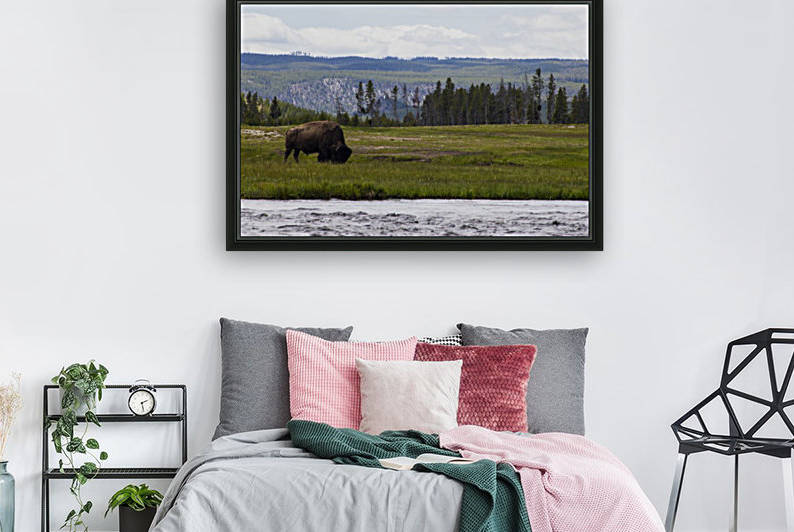 Buffalo Solider by Kenny Hill