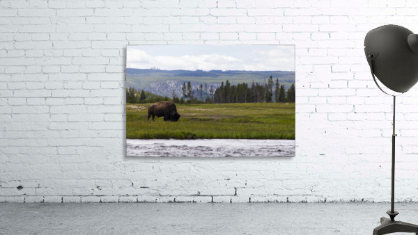 Buffalo Solider Wall Preview