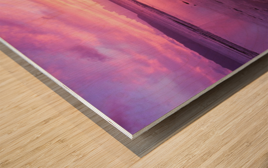 The Elevator Shaft Oahu Wood print