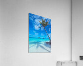  Lanakai  Acrylic Print