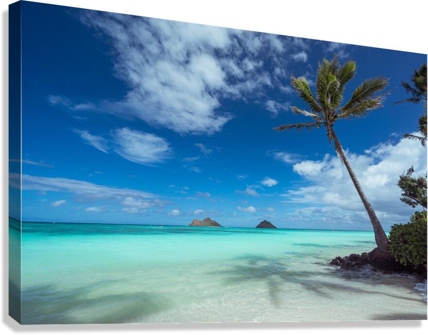  Lanikai Dream Canvas Print