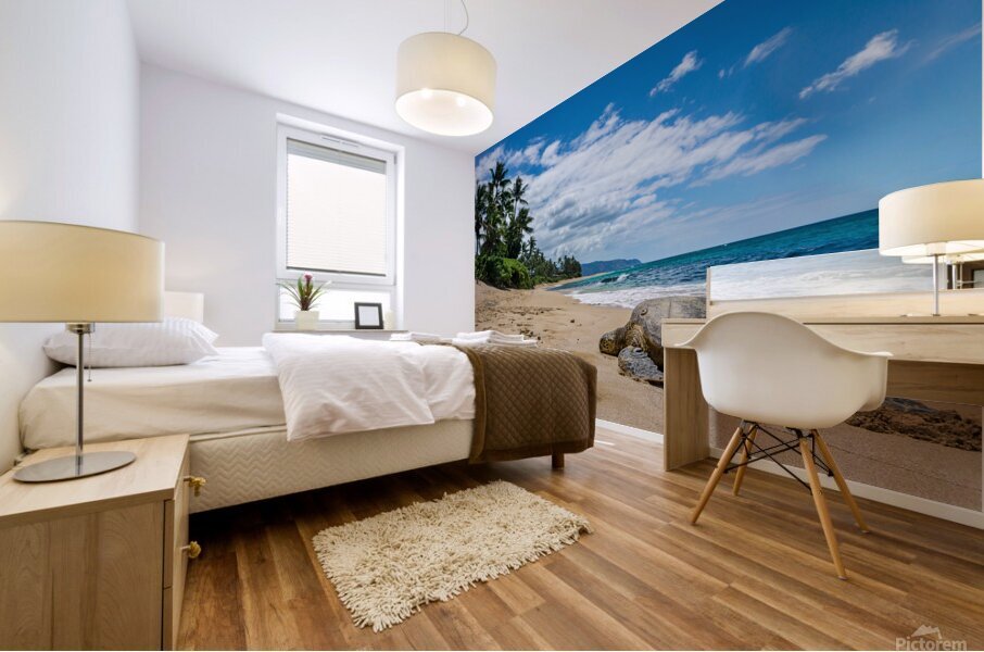 HawaiiTurtlebeach Mural print