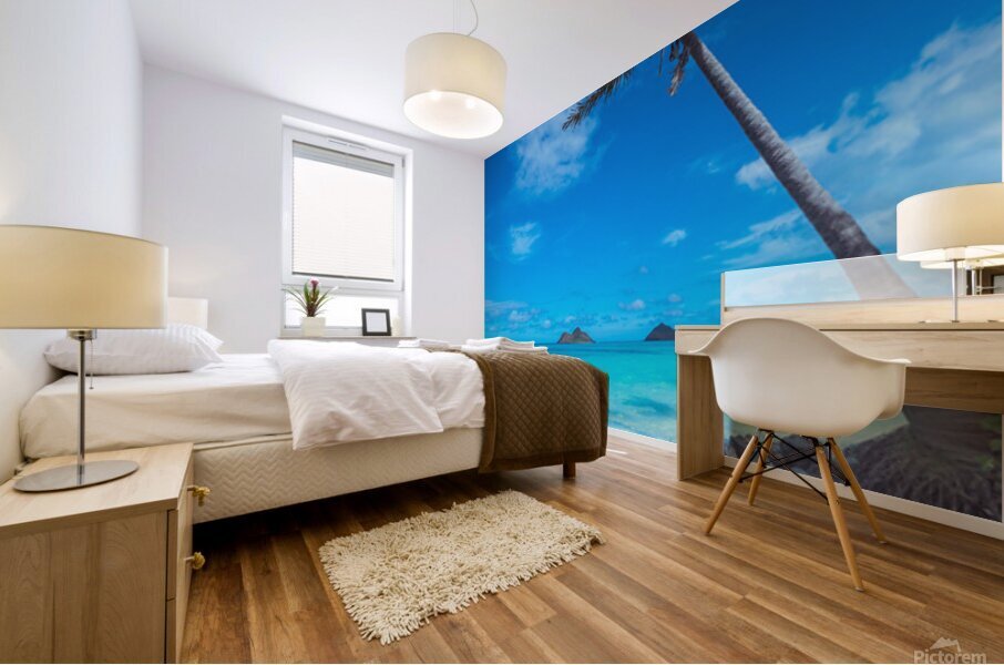  Lanakai  Mural print