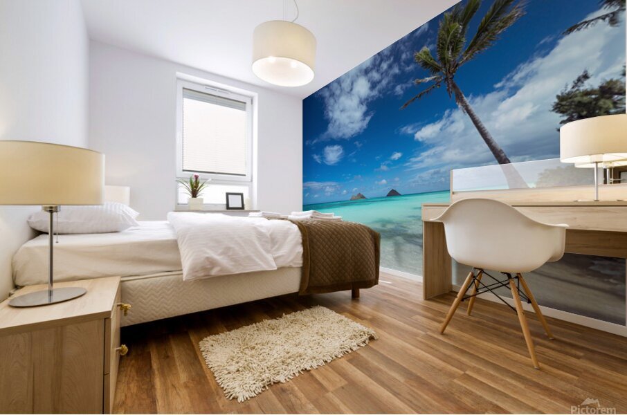  Lanikai Dream Mural print