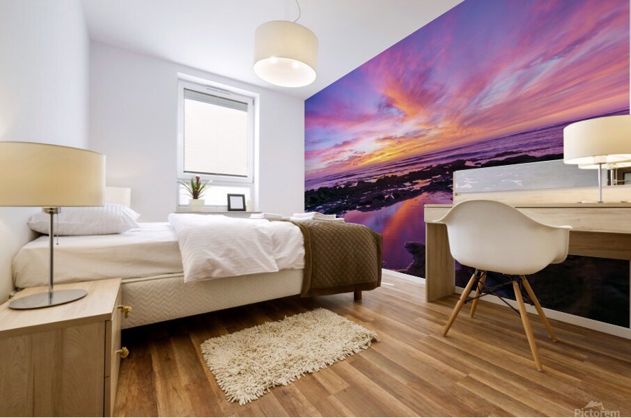 Sandiegomagic Mural print