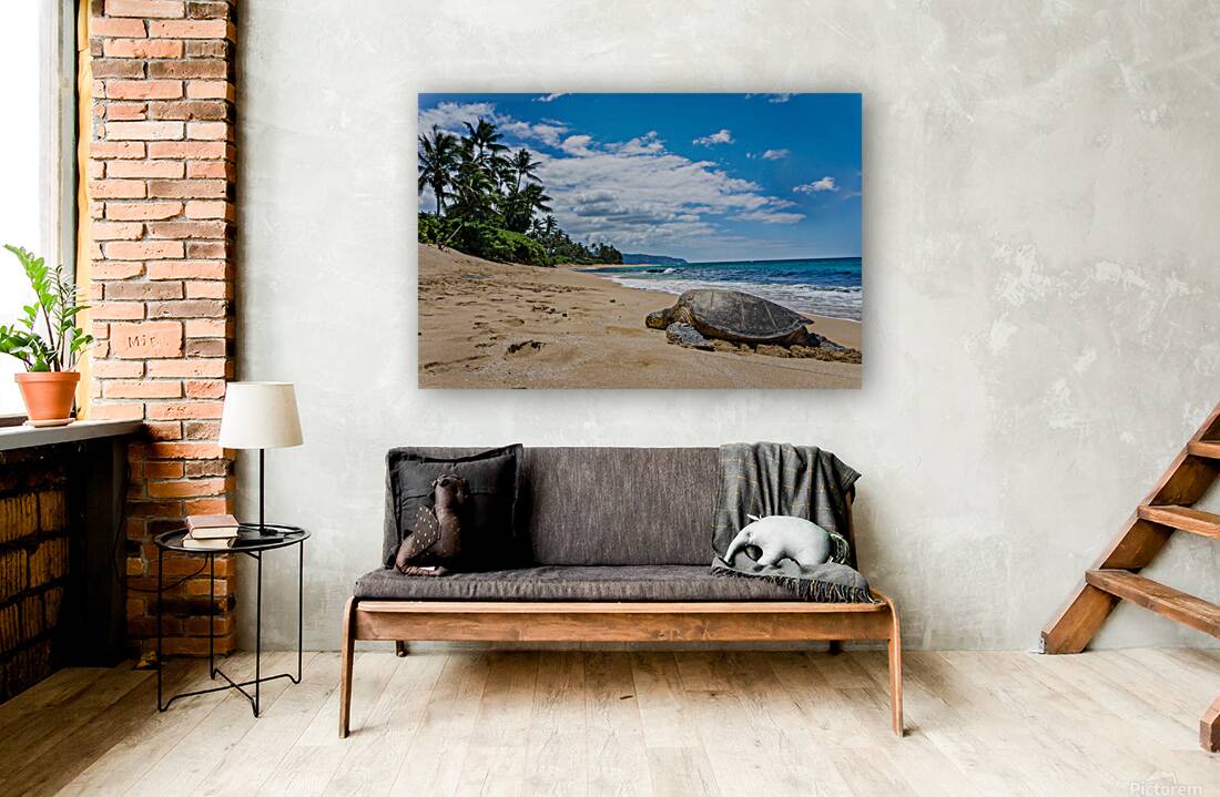 HawaiiTurtlebeach Reproduction