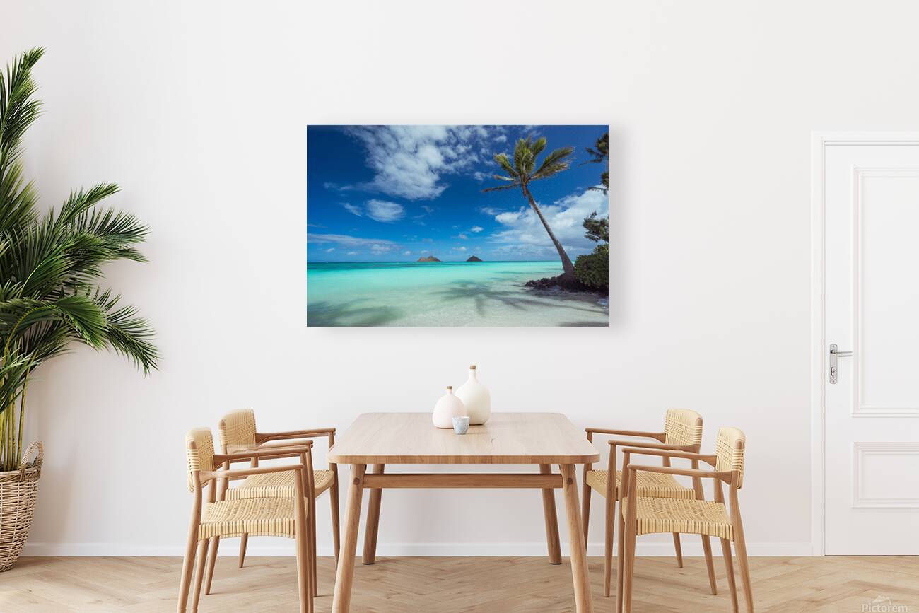  Lanikai Dream Reproduction