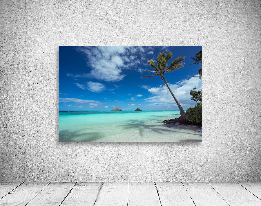  Lanikai Dream Wall Preview