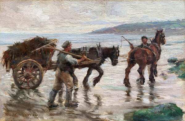 HAROLD HARVEY 1874 1941 SEAWEED GATHERERS ON NEWL Digital Download
